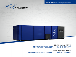 �����Չ��C(j��)-QGSϵ�� 160-335KW�ݗU��